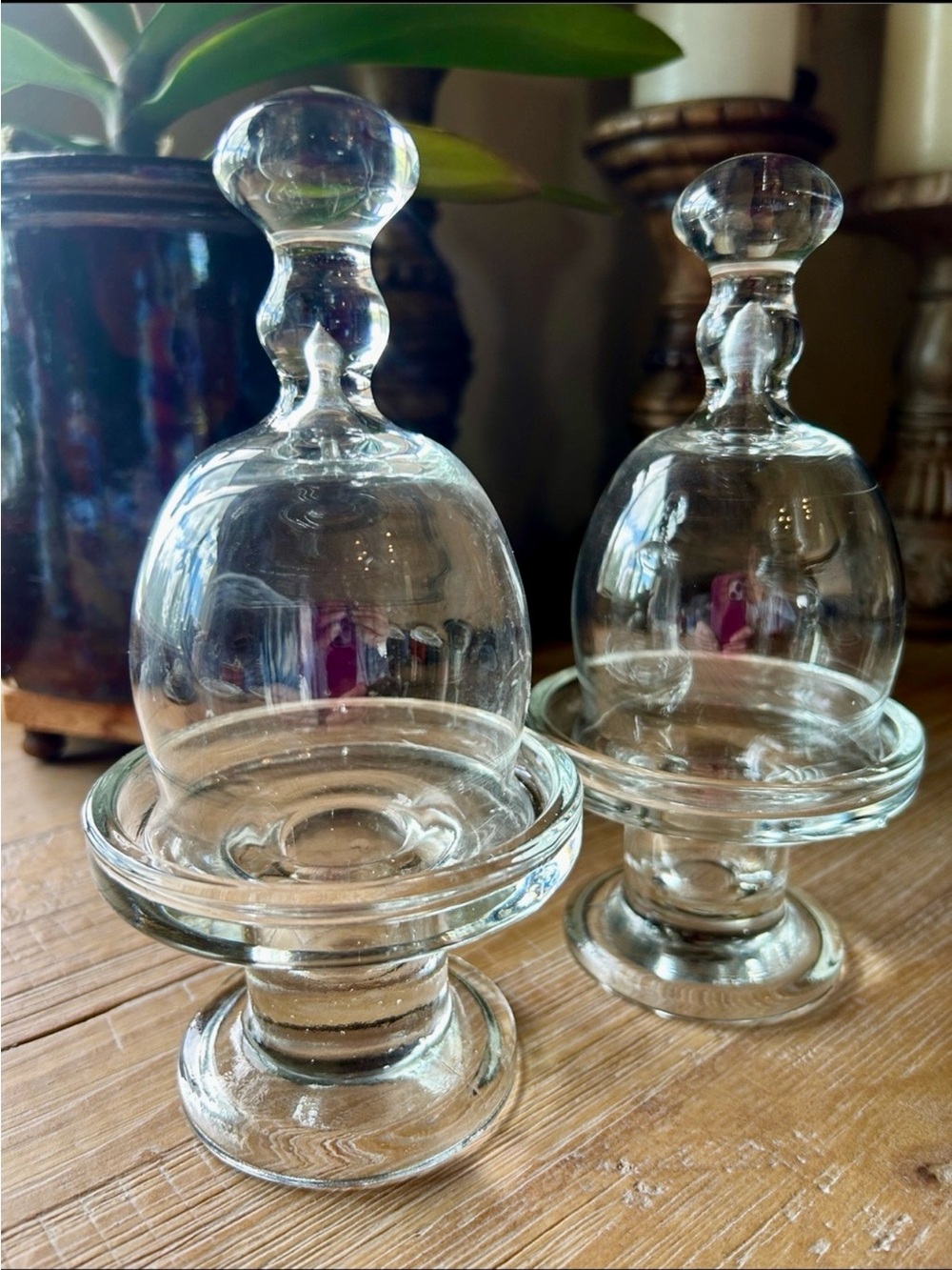 2 Mini Handblown Glass Cloches, Bell-Shaped Cover and Stand.